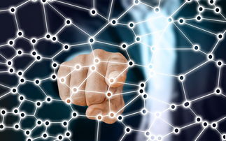 九游游戏中心-中国足球青训梯队人员年龄层结构，足球青训年龄段