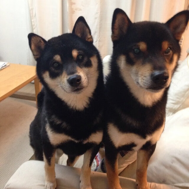 九游体育官网首页-意甲青训体系引入语境判罚知识课提升规则理解力，意甲青训最好的球队